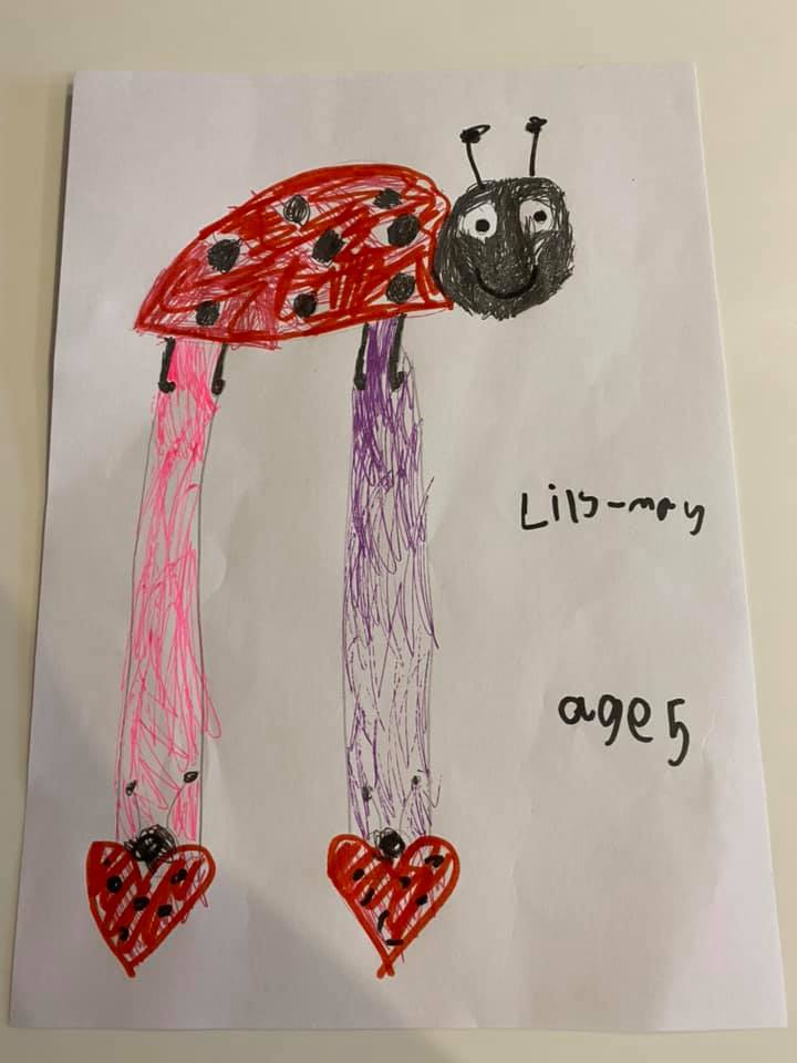 Ladybird Bow Holder Designed By Lily-May, Age 5