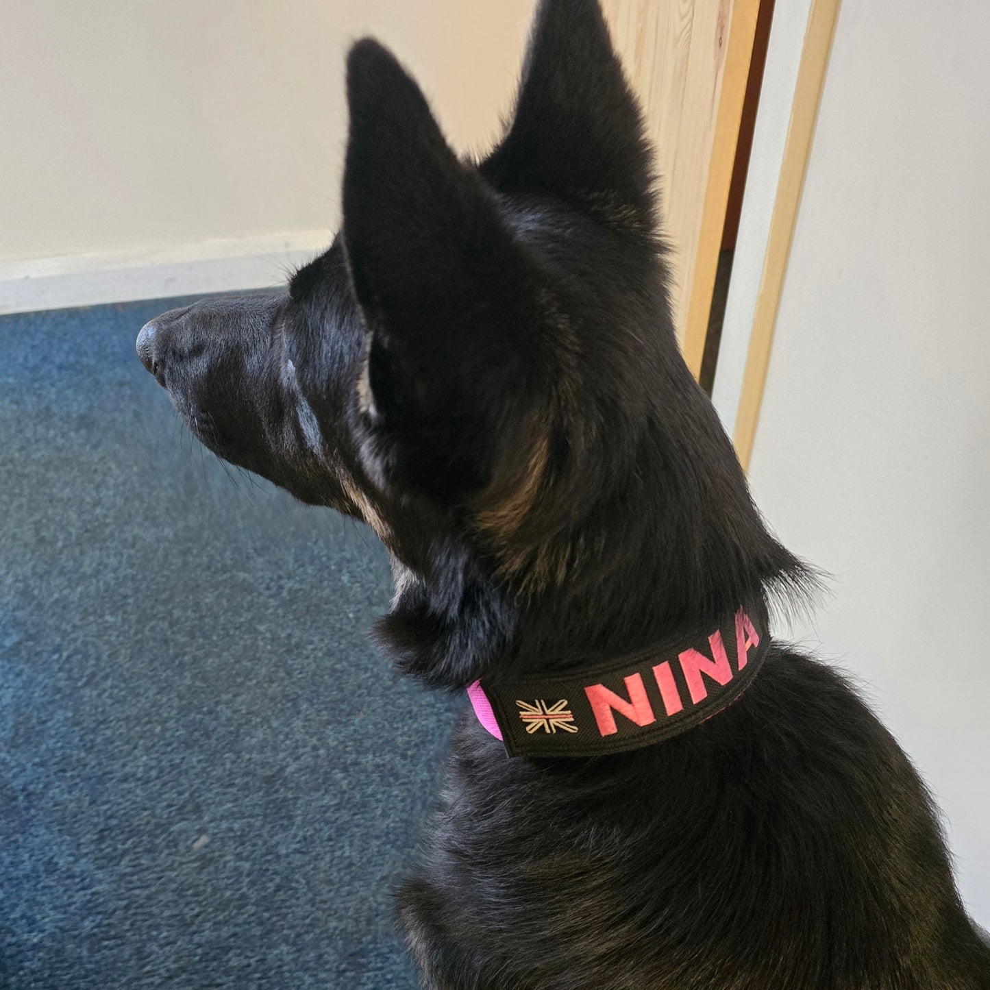 Dog Collar Name Patches