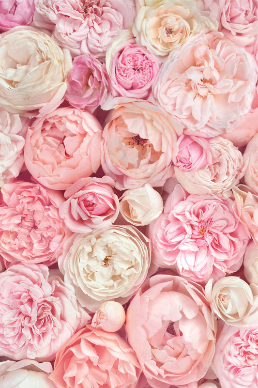 Blush Bouquet Photography Backdrop