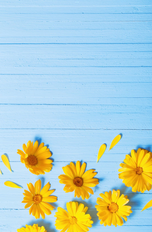 Yellow Flower on Blue Photography Backdrop