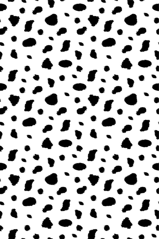 Dalmatian Photography Backdrop