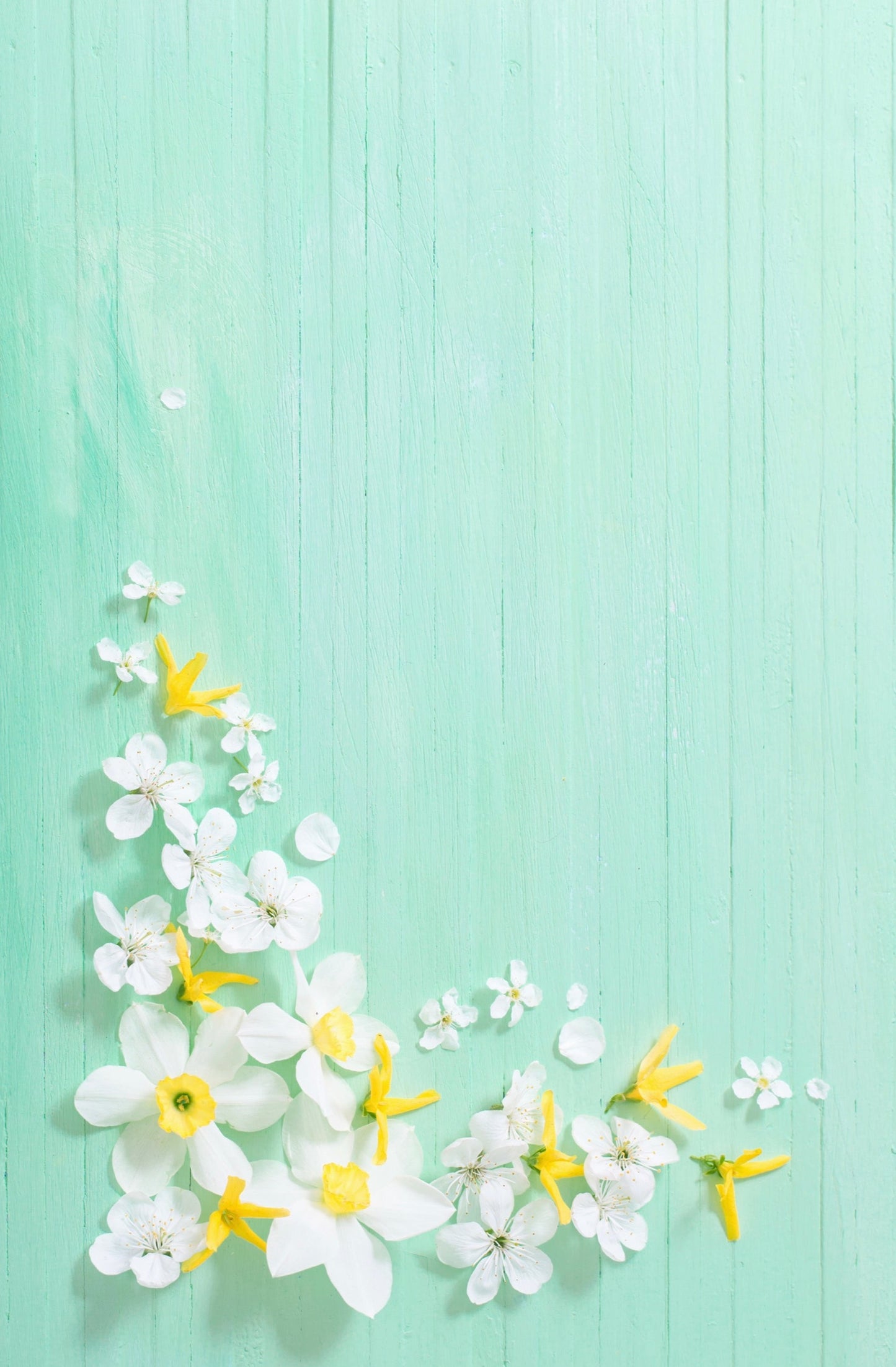 Mint & Daffodil Wooden Photography Backdrop