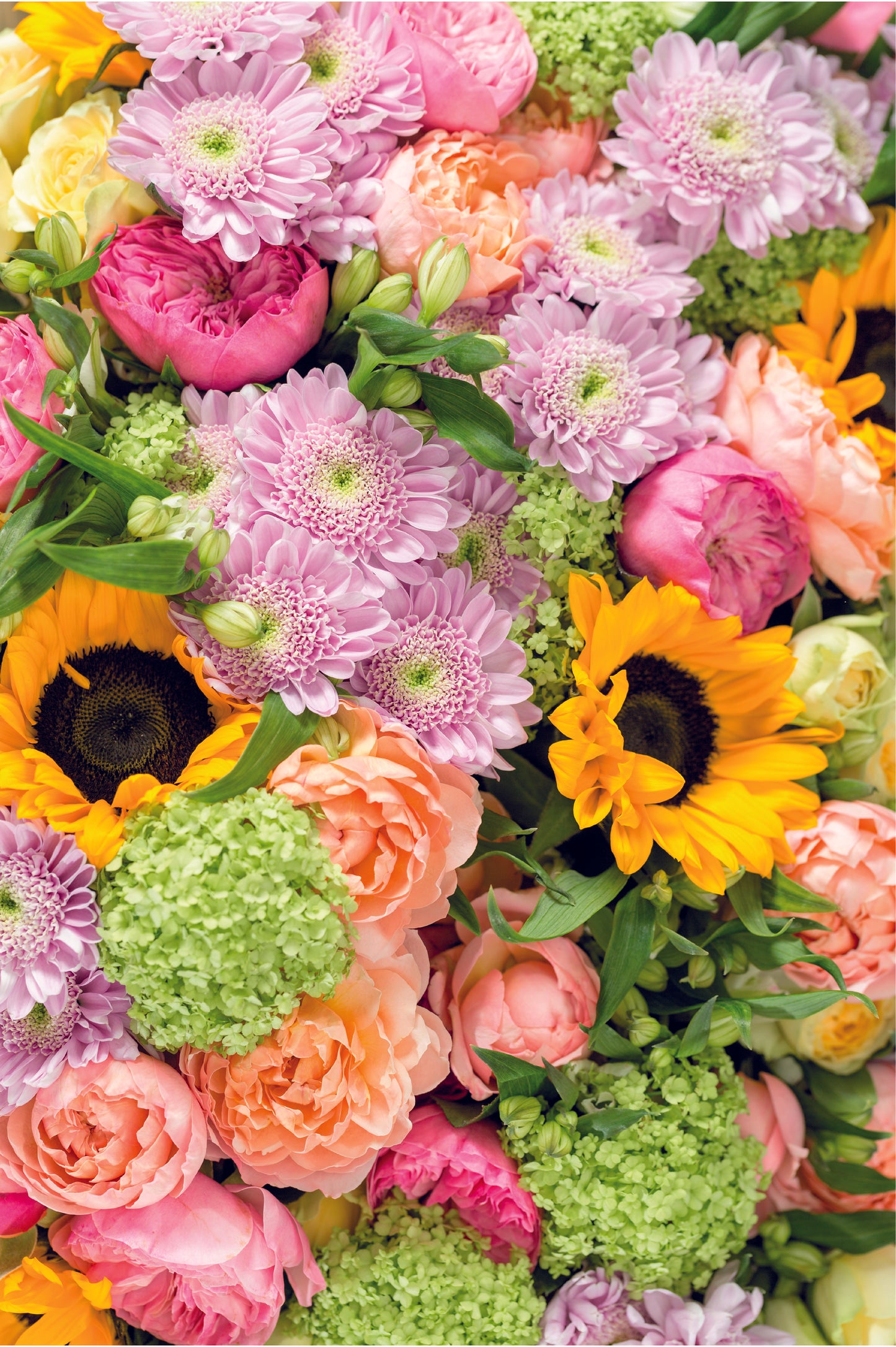 Blush Bouquet Photography Backdrop