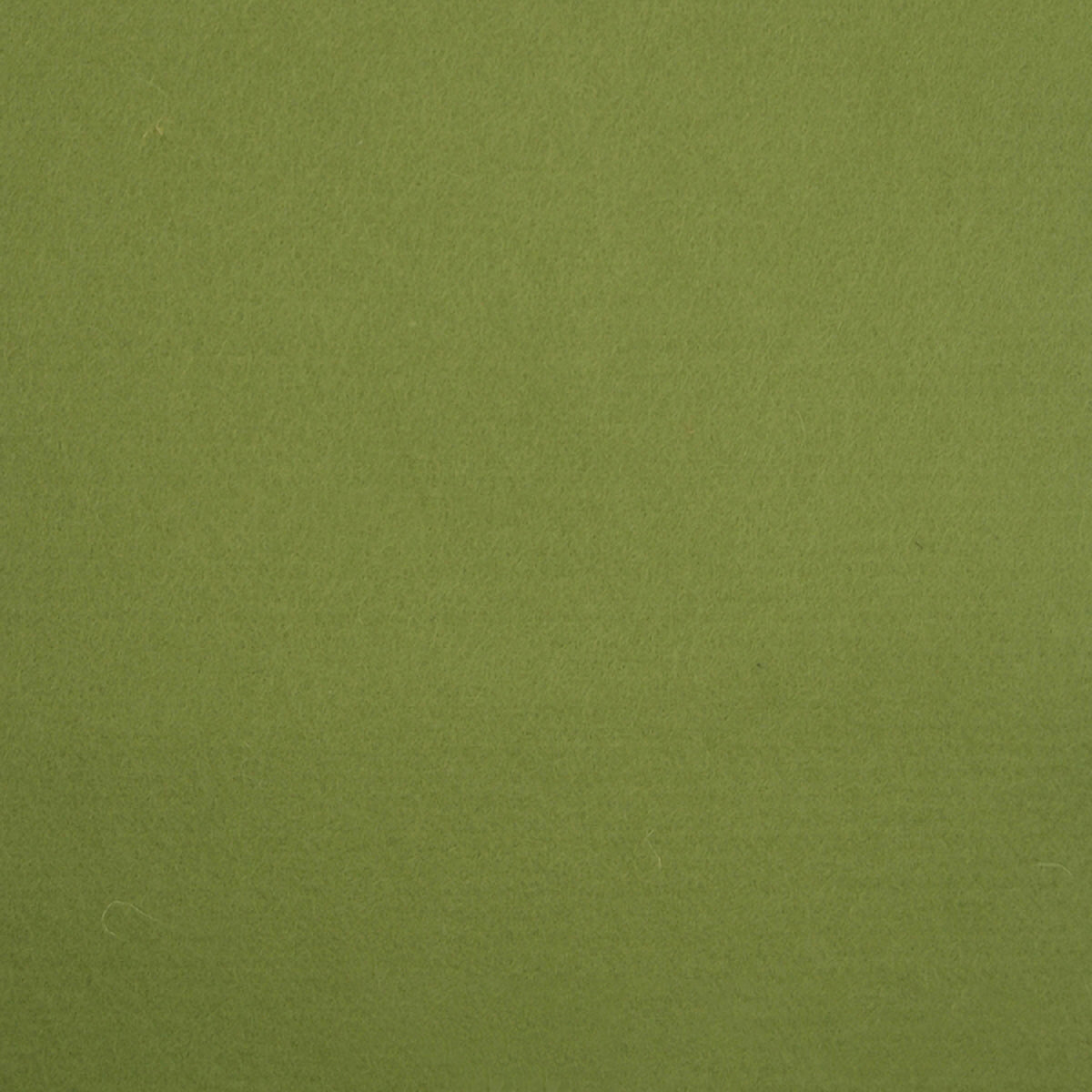 100% Wool Felt - 41 Avocado